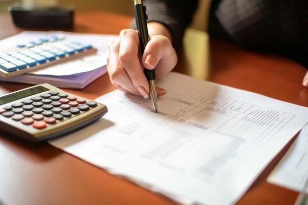 陵县贷款可行性报告|项目融资解决方案与咨询服务 图2