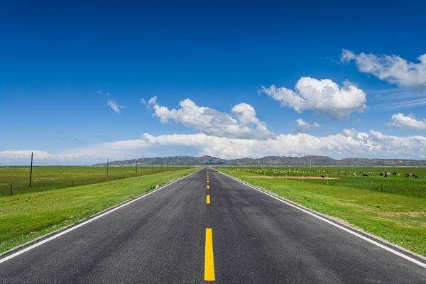 公路求生：我能在数字化转型中无限升级 图2