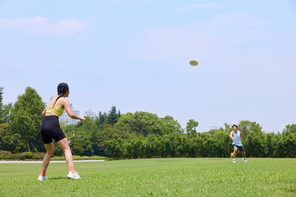 《飞盘品牌设计案例分享会：激发创意，打造独特视觉盛宴》图1