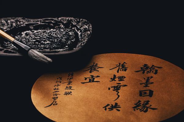 中国餐饮品牌策划方案模板|项目融资-品牌建设与市场扩展 图2