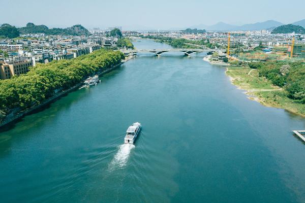 生态木品牌策划课程：构建绿色、可持续的森林生态系统 图1