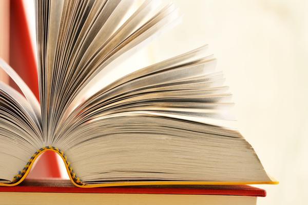 《品牌策划指南：从策略到执行一本掌握品牌策划的专业书籍》 图1