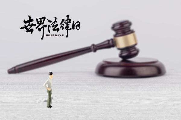《构建品牌：护林法庭的法庭建设方案范文》 图2