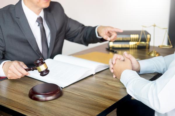 贷款延期付款协议模板|项目融还款计划与风险控制 图1