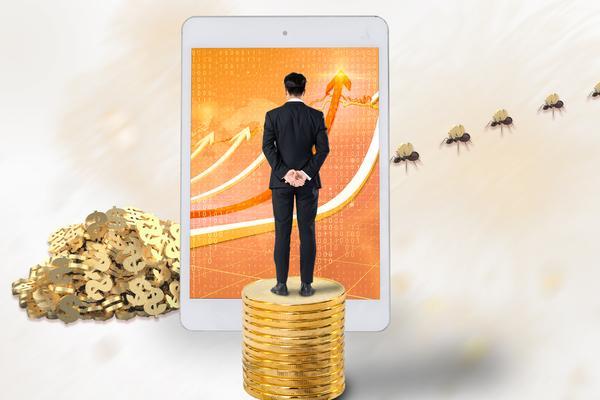 构建可持续发展的生态品牌：绿色金融与社会责任的深度探索 图1