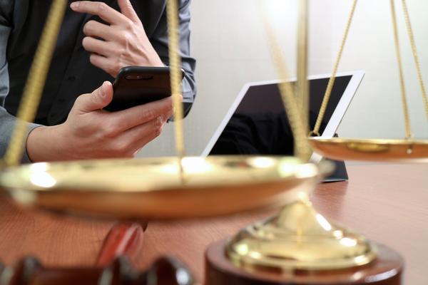 两个担保人只起诉一人行吗？相关法律与实务分析 图2