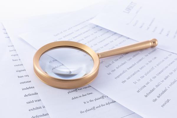 饺子企业文化建设在项目融资中的意义|企业品牌价值提升 图1