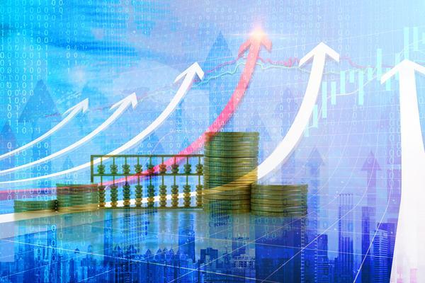 养殖业贷款10万元以上|项目融资解决方案与乡村振兴支持 图2