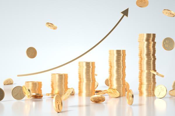 盛大金禧资金退出问题：项目融资领域的警示与反思 图1